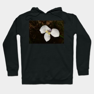 Butterfly Flag Hoodie